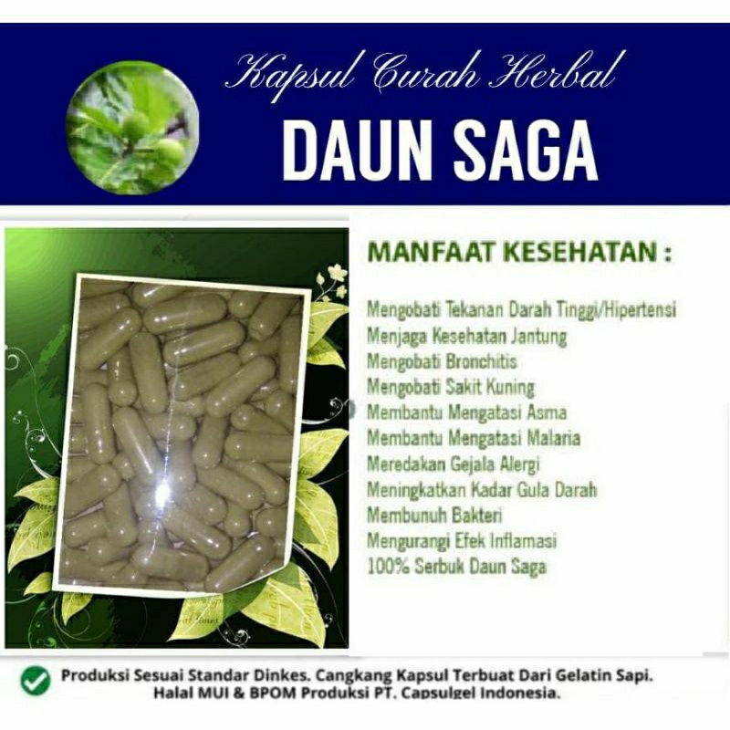 

DAUN SAGA 100 KAPSUL OBAT HERBAL ALAMI (GRADE A5)