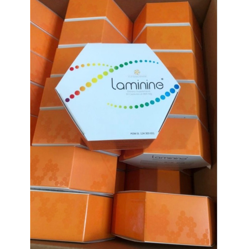 Laminine Laminin Stemcell Original 30 Kapsul