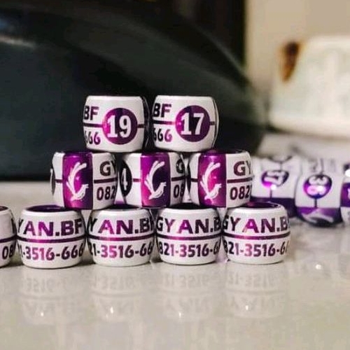 RING Burung MURAI WINNER DONAT CETAK NAMA