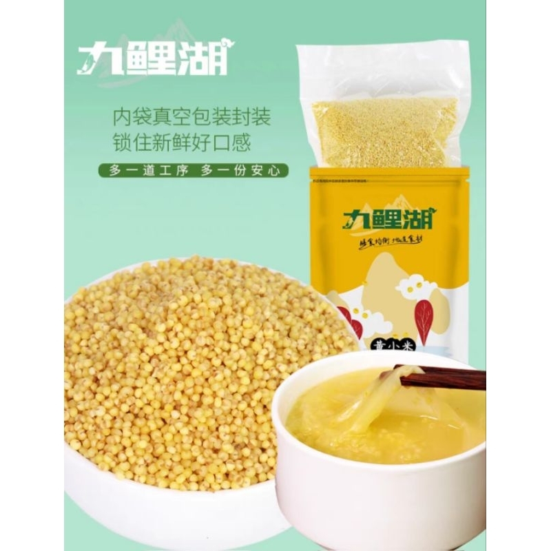 

九鲤湖黄小米 Huang Xiao Mi/Beras Kuning Jawamut sehat 500g