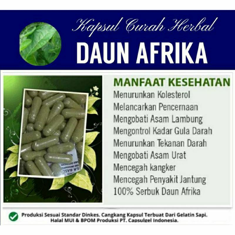 

DAUN AFRIKA 100 KAPSUL OBAT HERBAL ALAMI (GRADE A5)
