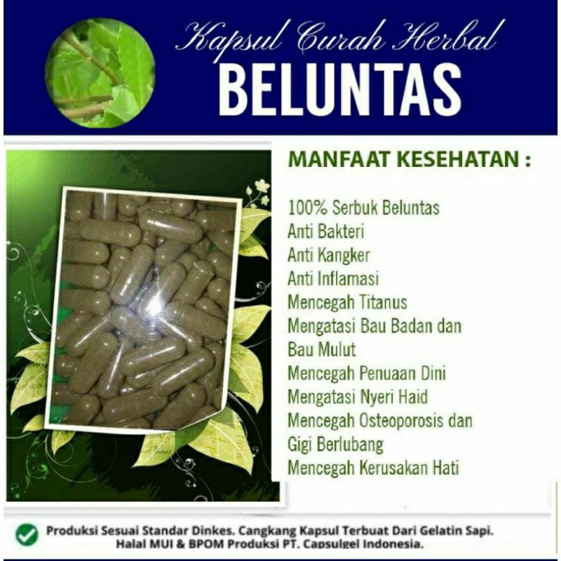 

BELUNTAS SUPER 100 KAPSUL OBAT HERBAL ALAMI (GRADE A5)