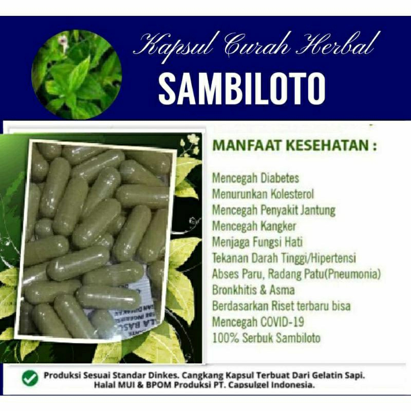 

SAMBILOTO SUPER PREMIUM 100 KAPSUL OBAT HERBAL ALAMI (GRADE A5)