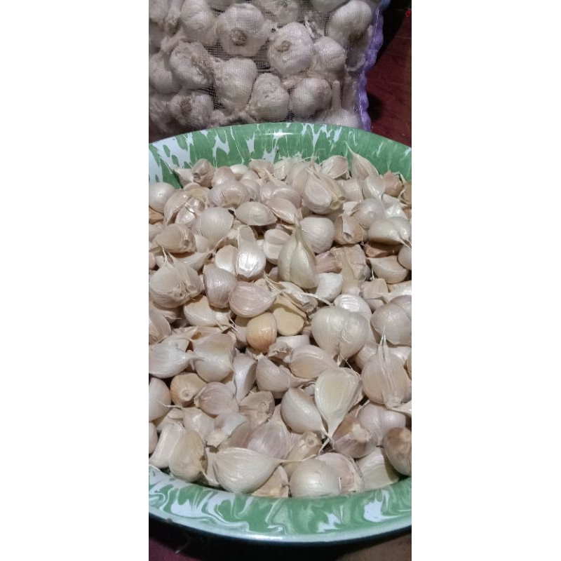 

bawang putih kating