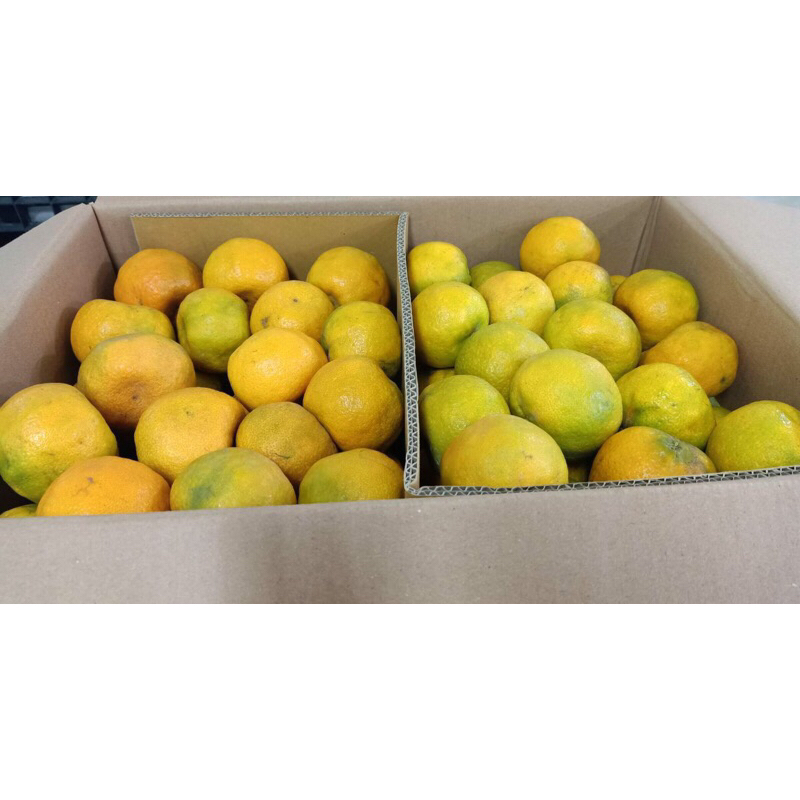 Jeruk Sunkist Baby Jaffa / Java Malang 1 Dus (18 KG) Fresh