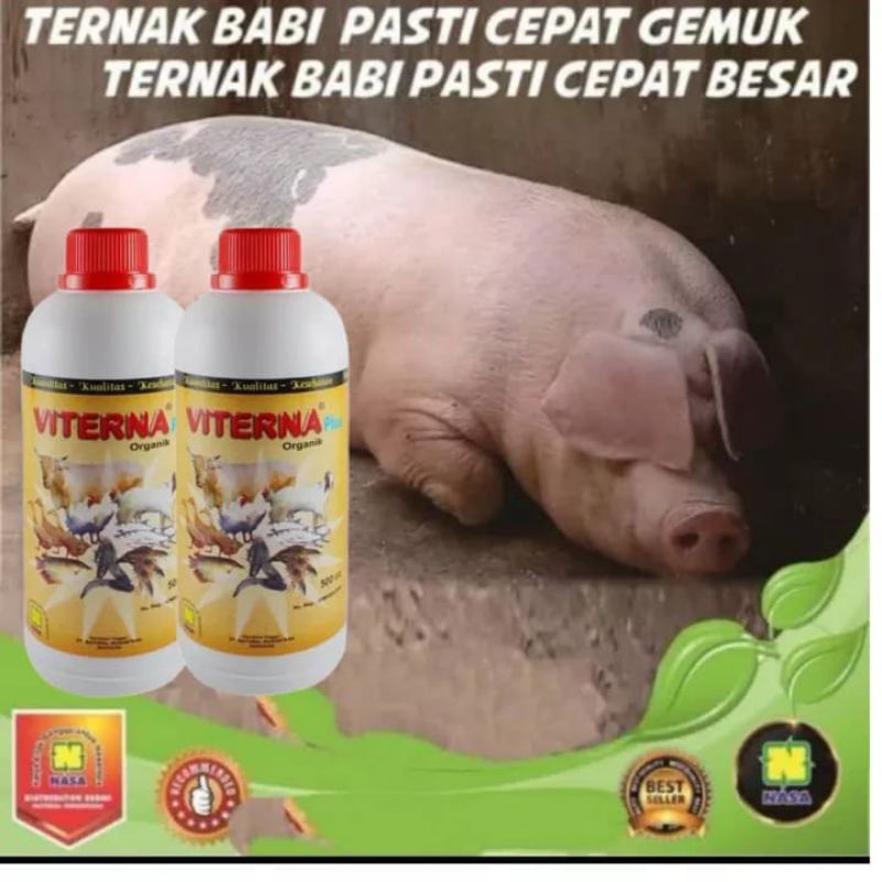 Vitamin Babi /  Viterna Plus / Vitamin ternak babi dan ikan Original / BPOM / Produk terbaik untuk t
