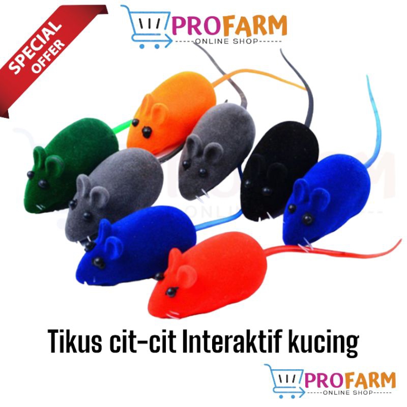 Pawsitive Vibes Mainan kucing tikus-tikusan bunyi cit/ Cat Toys and Dog Toys - Tikus Cit Cit CAT toy