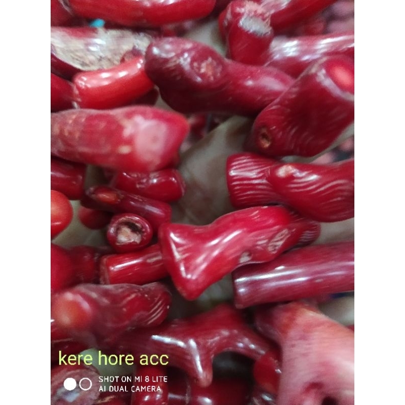 MANIK BATU MARJAN BATU ALAM NATURAL SATU RENTENG /RENCENGAN