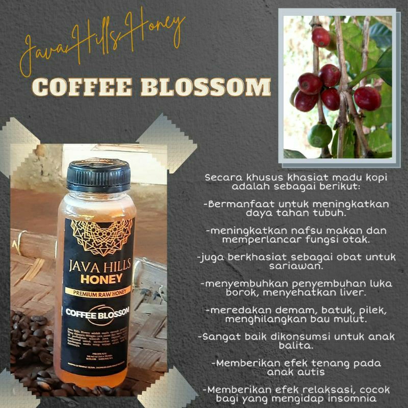 

Madu coffee blossom java hills honey kemasan 500gr