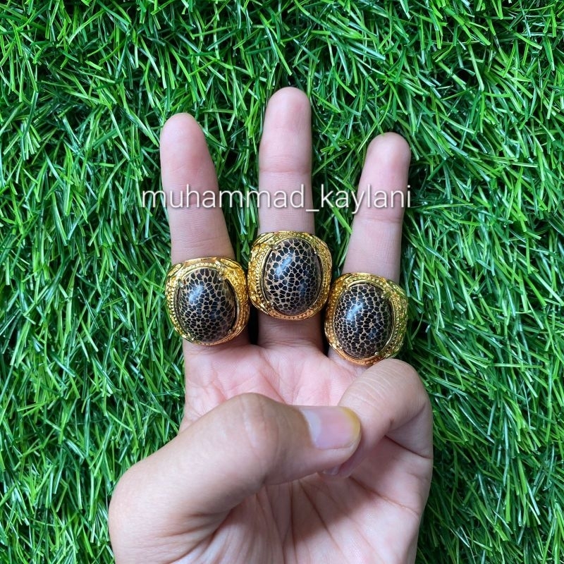 cincin kayu liwung (N)