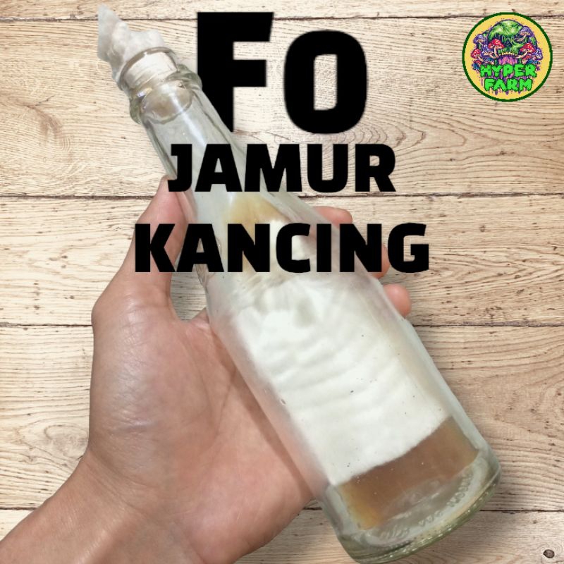 Bibit F0 Jamur Kancing