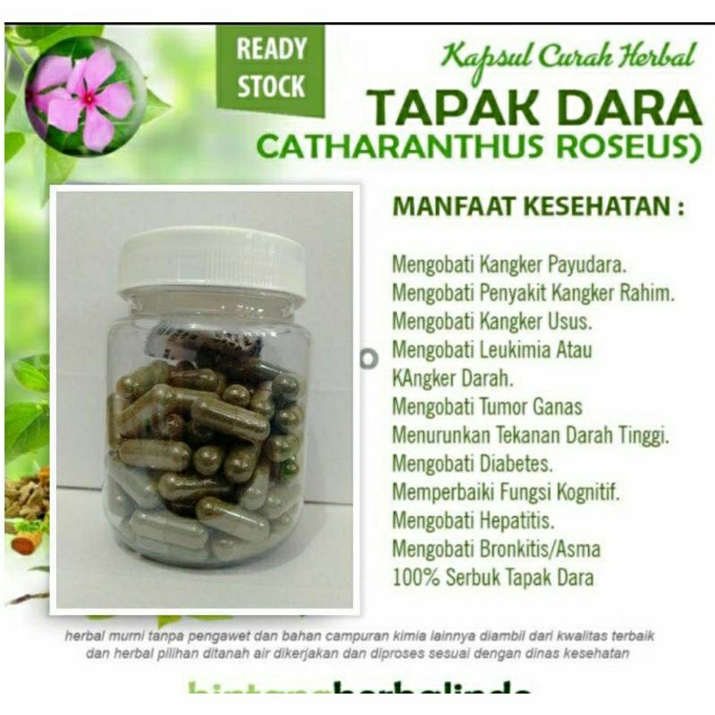 

TAPAK DARA 100 KAPSUL OBAT HERBAL TERBAIK (PREMIUM QUALITY)