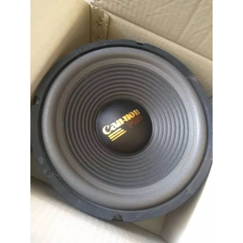 Speaker Cannon 10 inch Curve 12 inch woofer