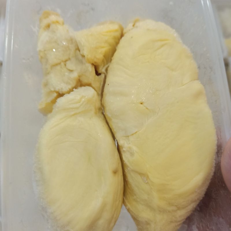 

Durian Montong Sulawesi Palu Premium