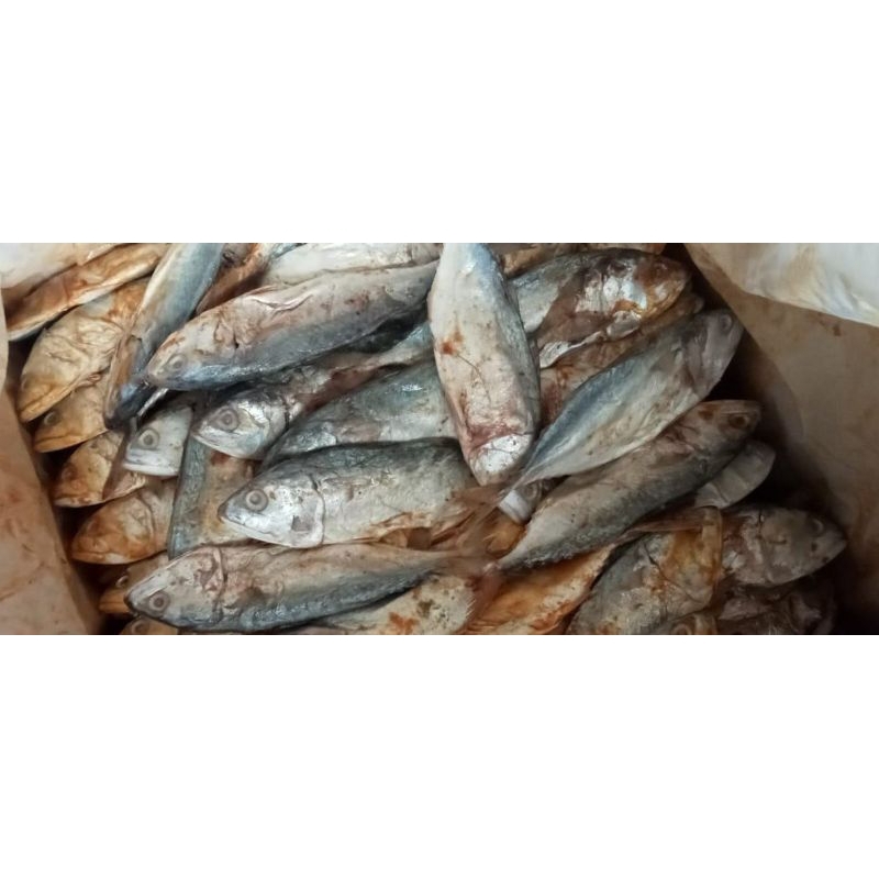 

IKAN ASIN PEDA MERA 1KG