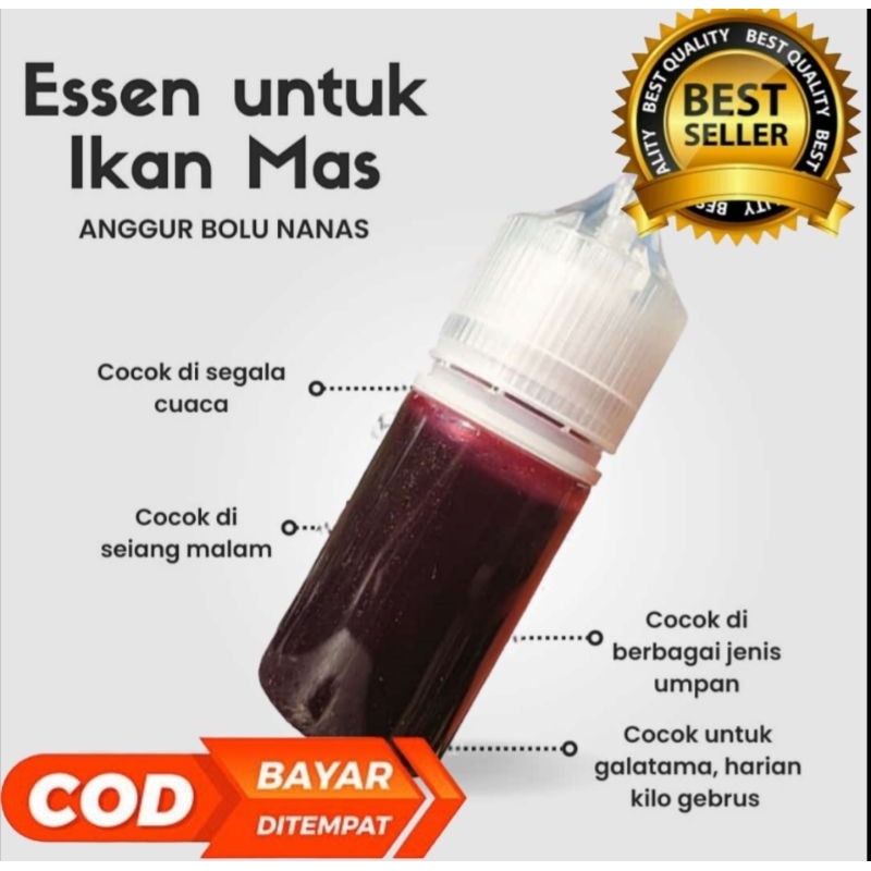 essen ikan mas oplosan aroma anggur bolu nanas