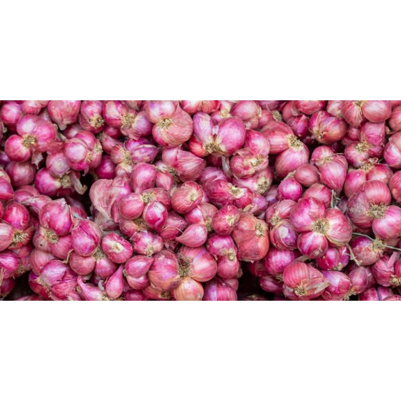 

Bawang merah super / aneka sayur segar semarang