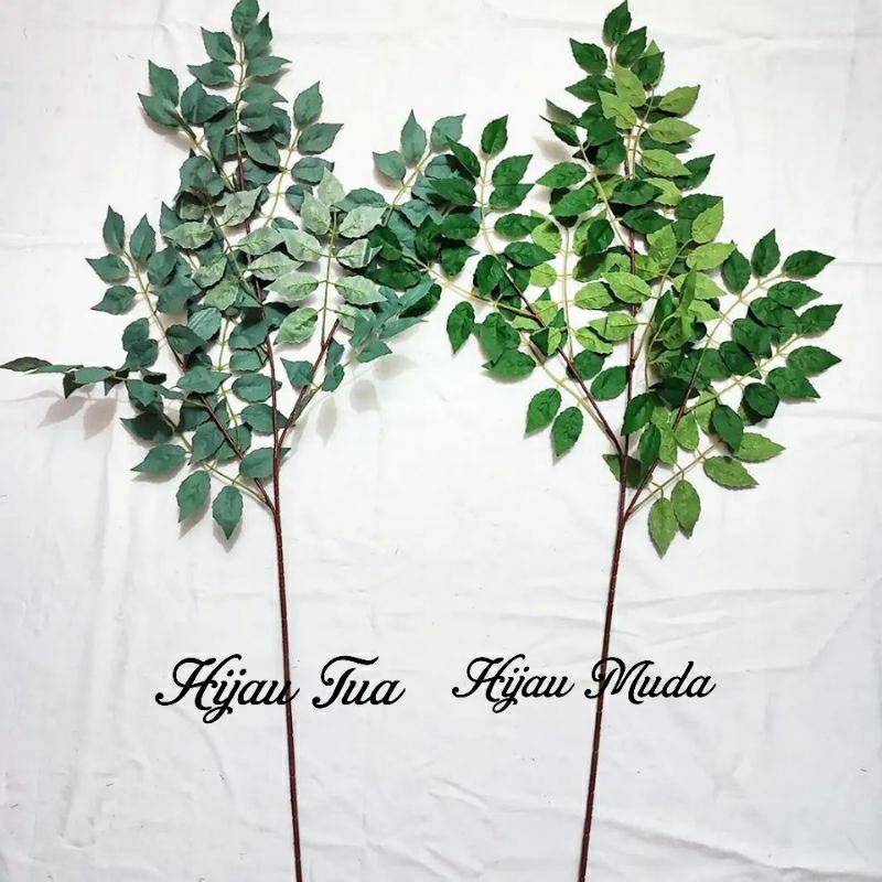 Daun Mawar Tinggi Dekorasi