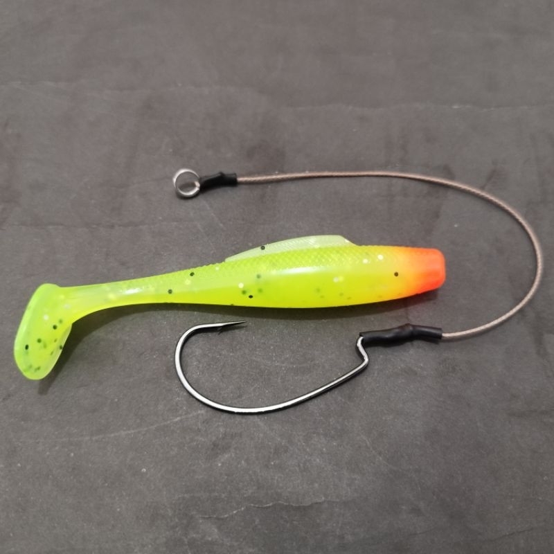 SOFT LURE 10 CM + ASIS WORM HOOK 3/0 Bkk