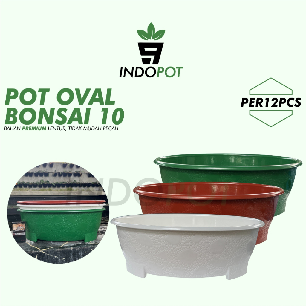 (12PCS) Pot Bonsai Oval 10 Pot Bonsai Besar Pot Jumbo Grosir