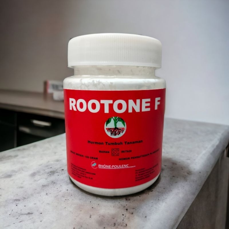 rootone f perangsang akar untuk okulasi stek sambung