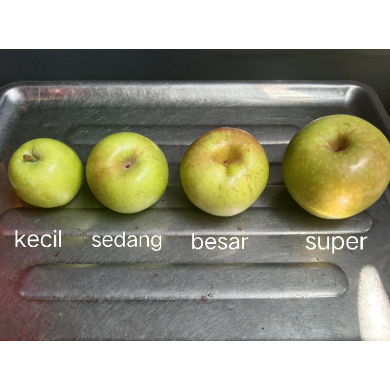 

Apel manalagi 1kg | Apel murah fresh