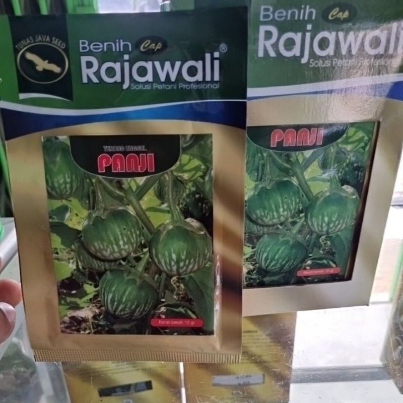 

BENIH TERONG UNGGUL PANJI. CAP RAJAWALI.10gr