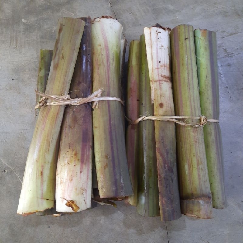 

sayur lompong 1 ikat