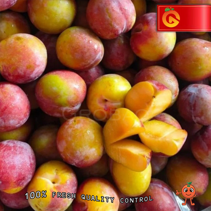 

BUAH PLUM AMBER JEWEL FRESH 500 GRAM