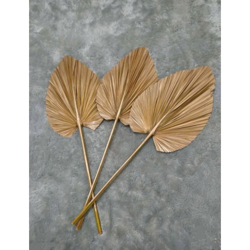 Daun Palem Kering GOLD Medium / dedorasi bunga kering