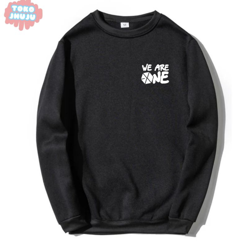 Sweater Exo We Are One Logo Kecil