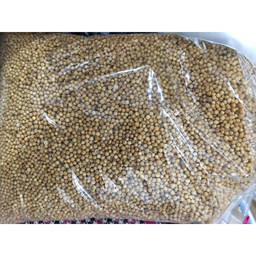 

TERBAIK BIJI KETUMBAR KERING HERBAL-1 KG