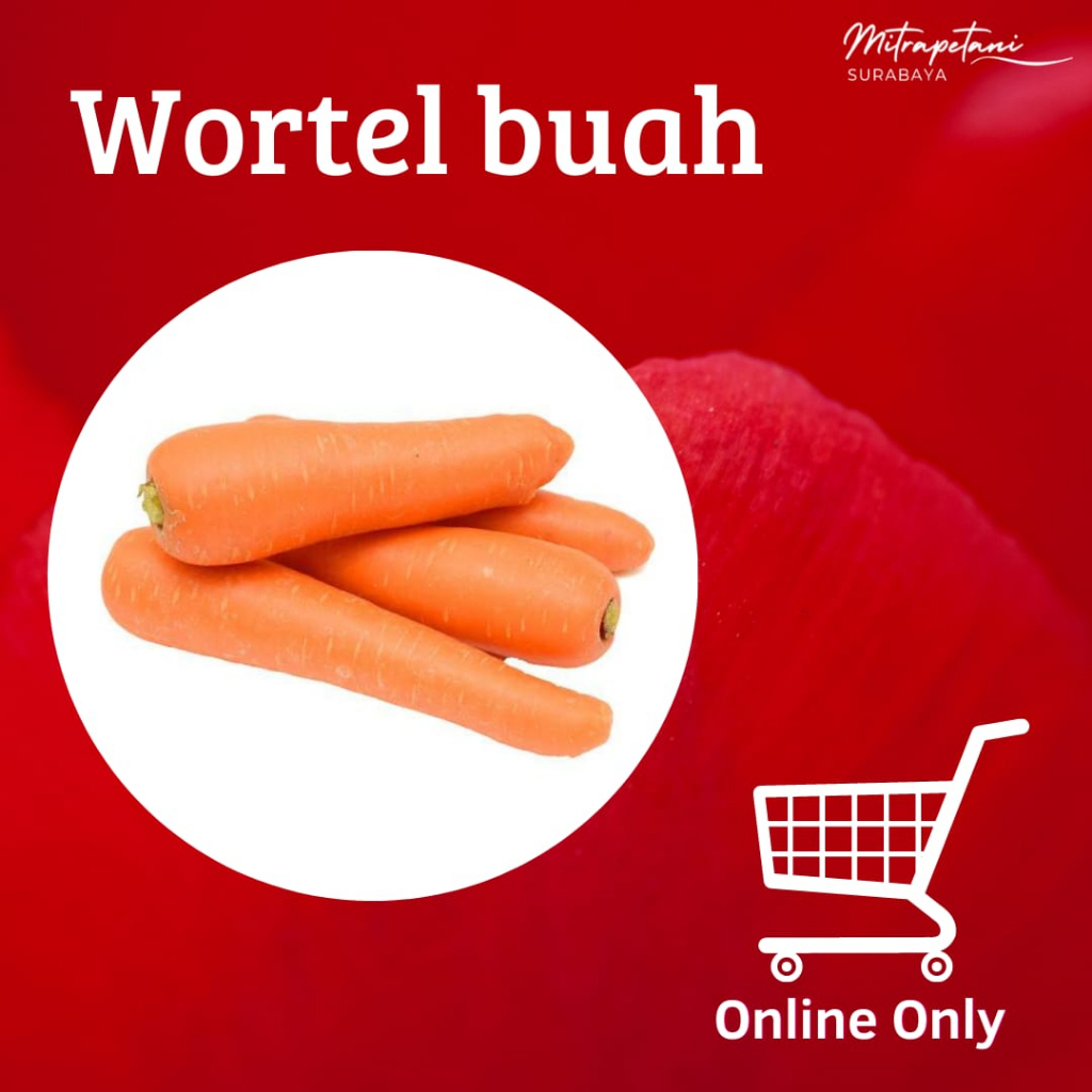 

Wortel buah 500gr, wortel buah fresh, wortel buah