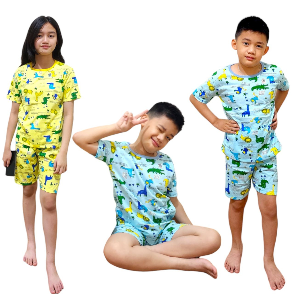 Baju Anak Laki Laki / Setelan Anak Dino / Setelan Anak Full Printing / Baju Anak Cowok M-VIN 1-12Tahun