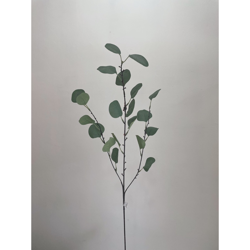 Daun eucalyptus tinggi | Daun eucalyptus | Eucalyptus artificial