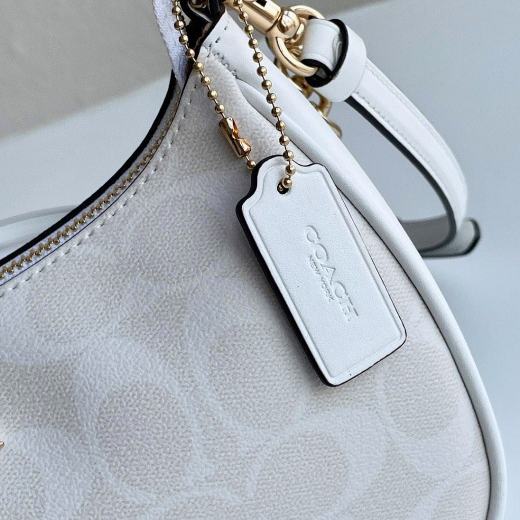 Coach Teri Shoulder Bag In Signature Canvas CA548 CA209 CA173 CA251