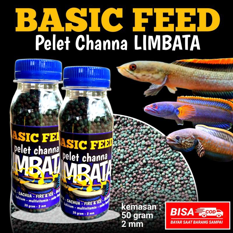 BASIC FEED pelet ikan channa LIMBATA - GACHUA - FIRE & ICE - BLEHERI | pakan ikan channa predator bl