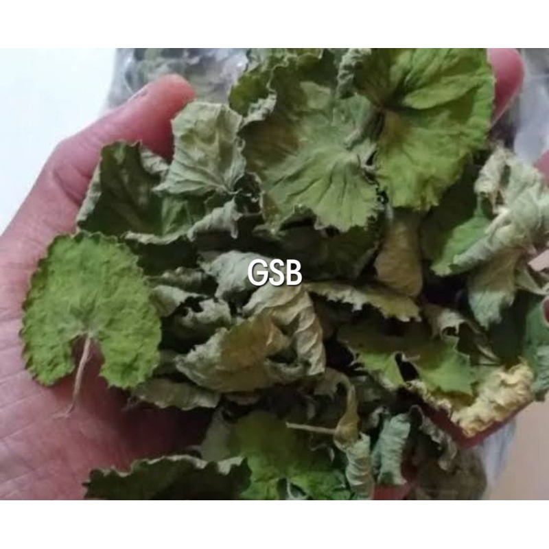 

daun pegagan kering MURNI daun