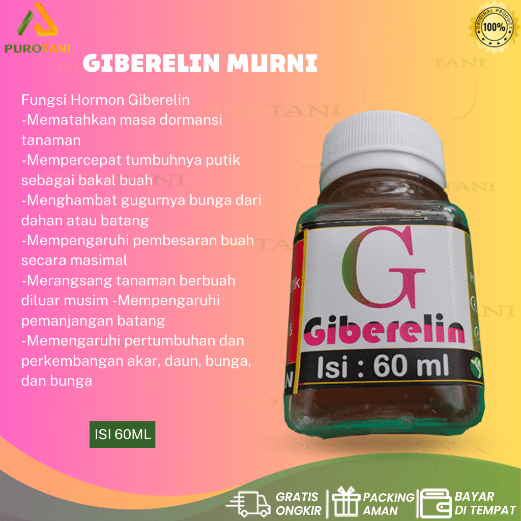 ZPT Giberelin Murni Gibberelin Murni Hormon Bunga Buah