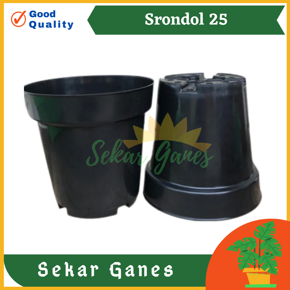 Sekarganes Pot Tinggi Srondol 25 Putih Hitam Merah Bata Coklat Terracota - Pot Tinggi Usa Eiffel Effiel 18 20 25 Pot Tinggi 15 18 20 30 35 40 50 Cm pot bunga plastik pot tanaman Pot Bibit Besar Mini Kecil Pot Srondol 15