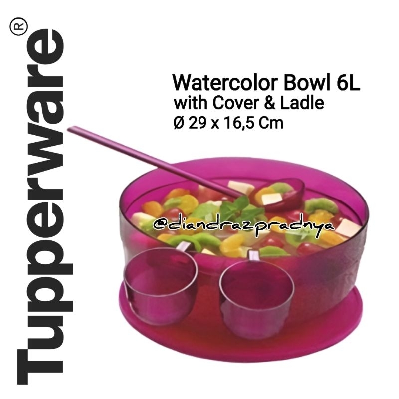 Bowl Watercolor Tupperware  6 Liter