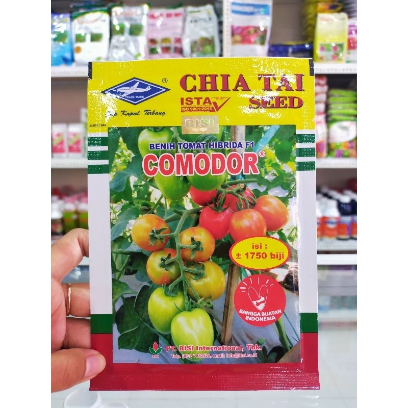 BENIH TOMAT COMODOR HIBRIDA F1
