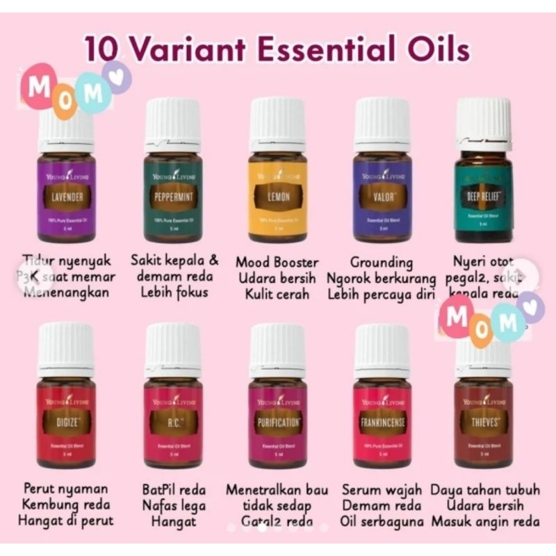 Premium Experience Package Young Living Paket lengkap stater kit essential oil