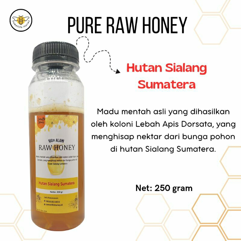 

Madu Hutan Murni Mentah Madu Asli Hutan Sialang Sumatera 250gram Pure Raw Honey