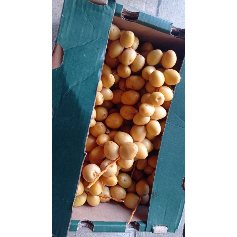 

Kurma Muda 250gr