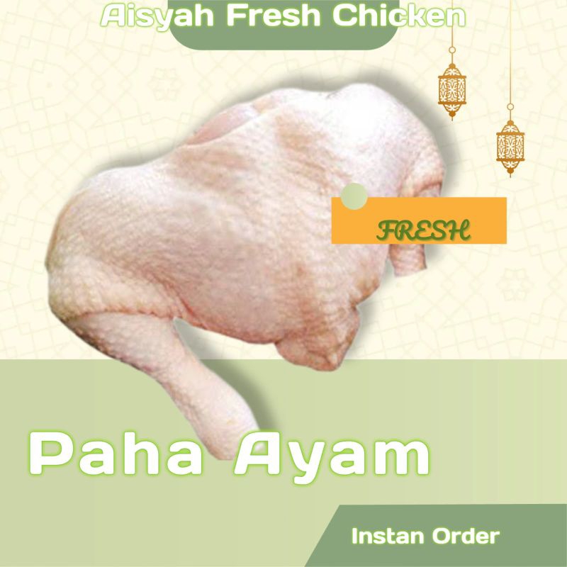 

Paha ayam boiler segar fresh termurah