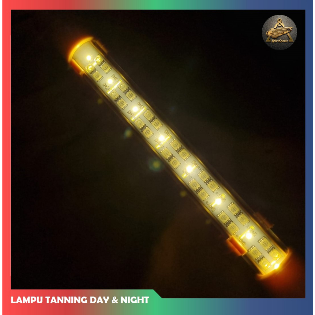 GARANSI ! LAMPU KANDILA PRO RED DAY AND NIGHT UV A DAN UV B LAMPU LED AQUARIUM VIEW PLUS 2 MODE WARNA LAMPU SOFT TANNING ARWANA LOUHAN CHANNA