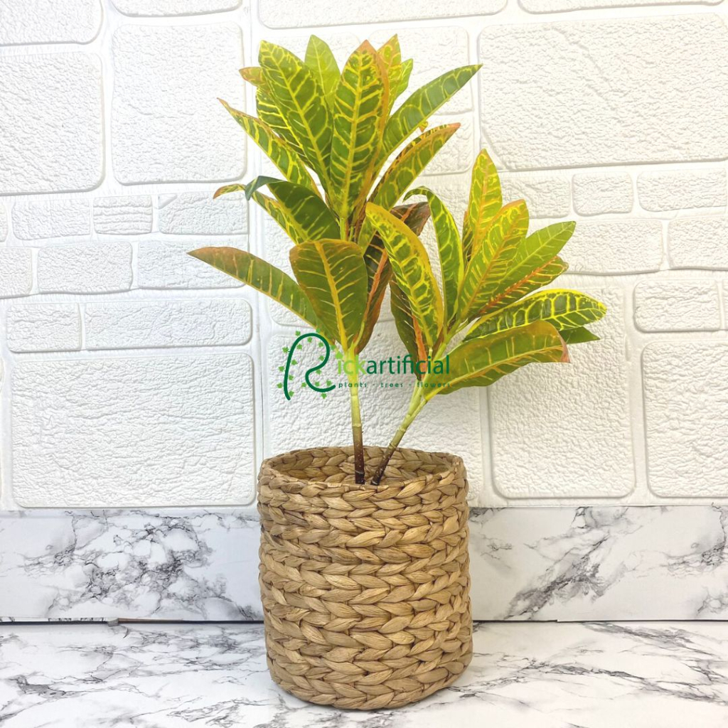 Pohon Daun Puring Worten X2 T50 Semi Latex Artificial Cover Eceng Gondok Medium Dekorasi Pajangan Ru