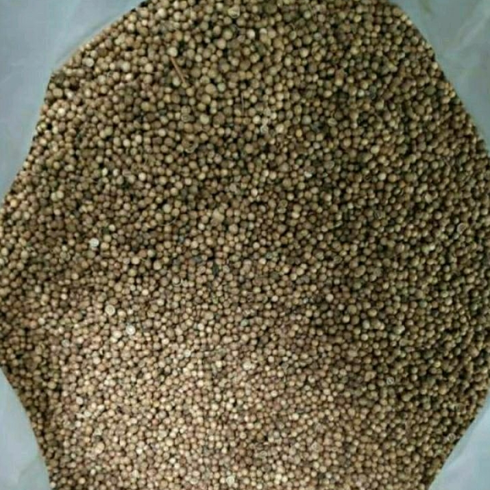 

Ketumbar Hitam Premium Quality / Ketumbar Murni Organik / Rempah