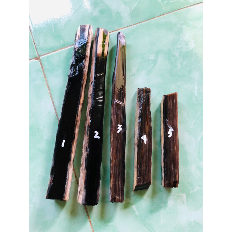 Fosil kelor kristal natural